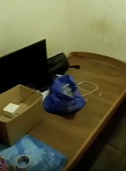 Central Imperial (D14), Apartment #503422011